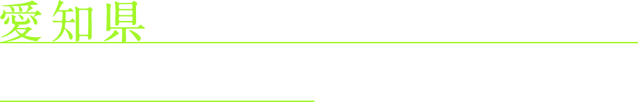 愛知県で塗装・防水工事のことなら、有限会社スギオへ！