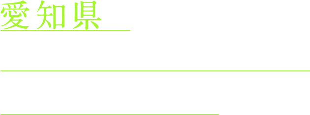 愛知県で塗装・防水工事のことなら、有限会社スギオへ！